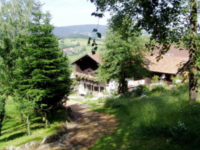 Гостиница Cosy holiday home in Kollnburg with garden  Акслах